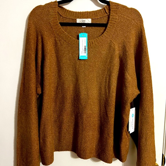 Pinque sweater from Stitch Fix 2XL - Picture 1 of 5